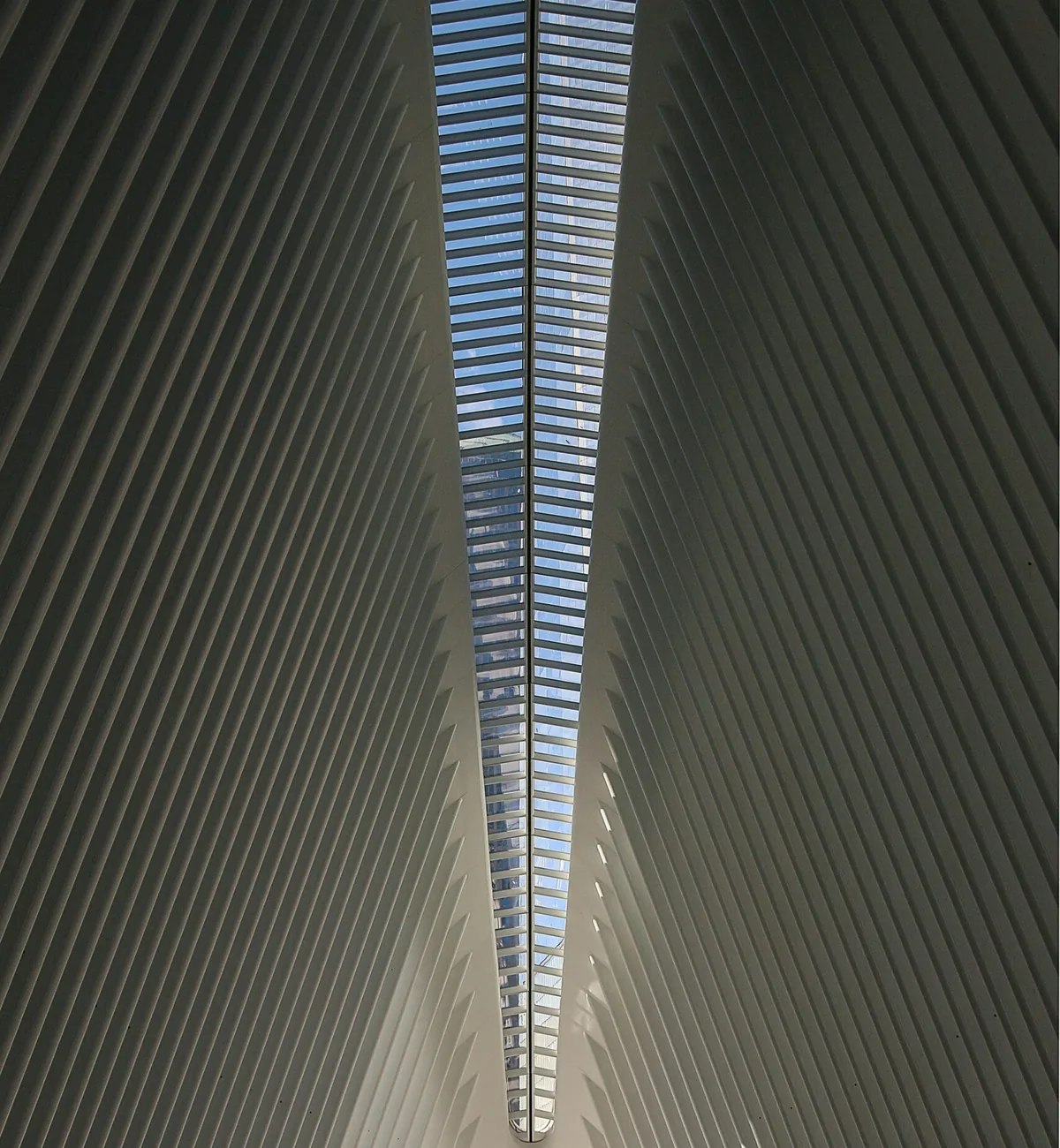 Ribbed architectural canopy seen from below